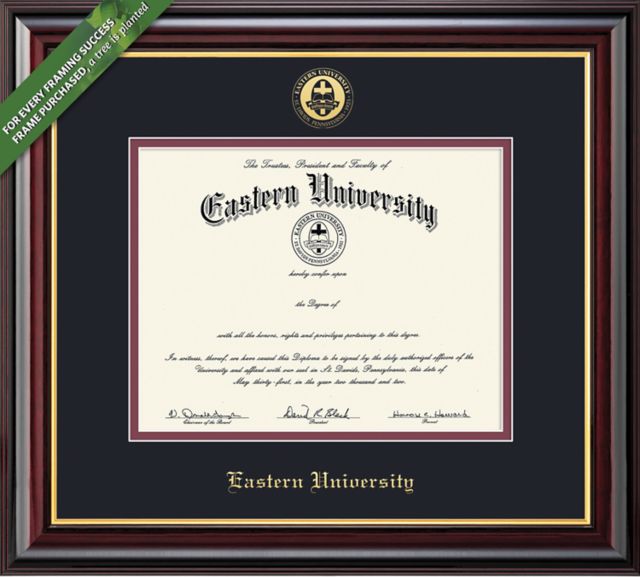 Framing Success Windsor 11 x 14 MA Diploma with Double mat - ONLINE ONLY