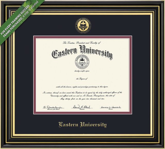 Framing Success Prestige 11 x 14 MA Diploma with Double mat - ONLINE ONLY