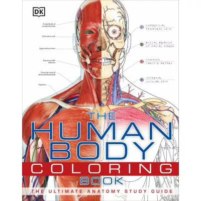 Human Body Coloring Book