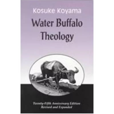 Water Buffalo Theology (25th Anniv Ed)