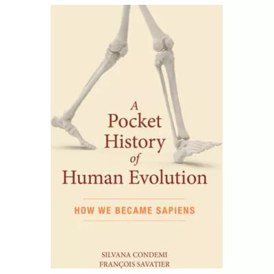 A Pocket History of Human Evolution
